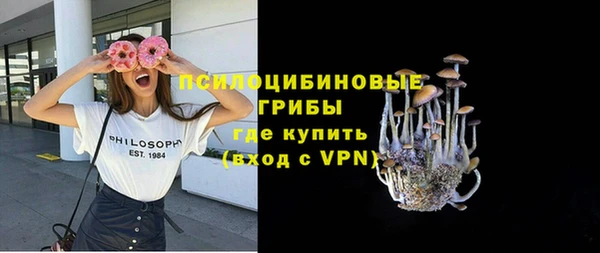 мдпв Каменногорск