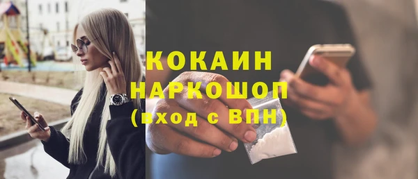 мдпв Каменногорск