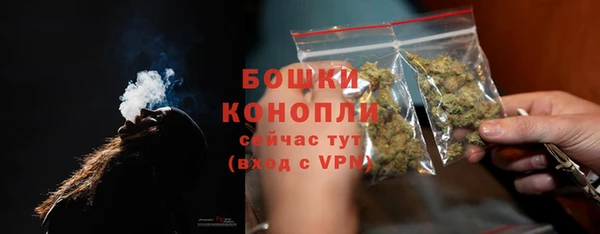 мдпв Каменногорск