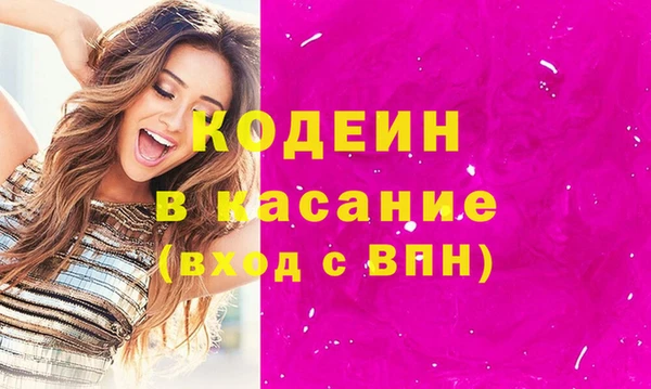 соль ск Каменка
