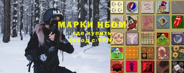 соль ск Каменка