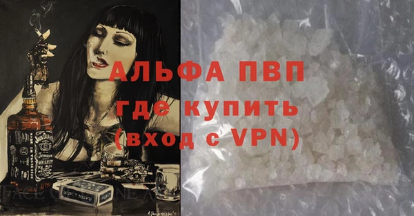 мдпв Каменногорск