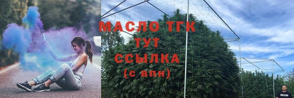 мдпв Каменногорск