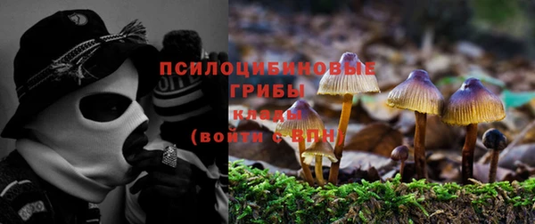 мяу мяу мука Каменск-Шахтинский