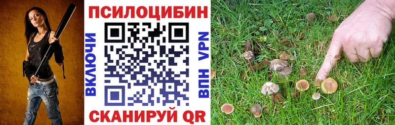 Галлюциногенные грибы мухоморы  Купить где  Отрадная 