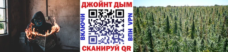 Купить где  Отрадная  Шишки марихуана Ganja 